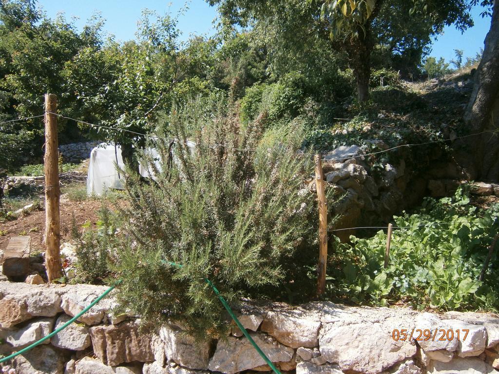 Holiday Home Loznati Cres Exterior photo